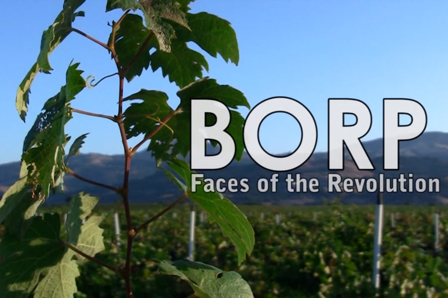 Short film for the Bay Area Outreach Program (BORP) posted to YouTube